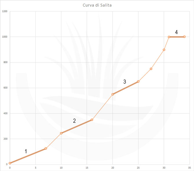 Grafico della curva di salita per la cottura della terracotta da giardino