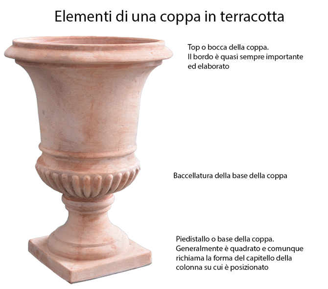 Esempio degli elementi chiave della coppa in terracotta