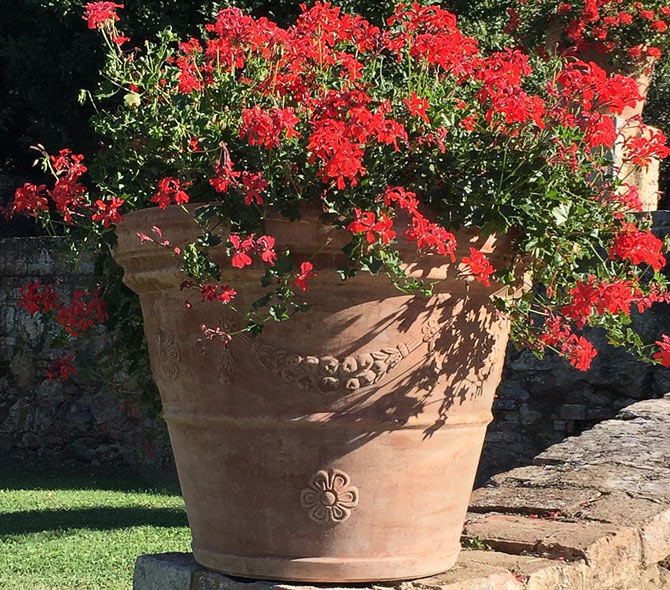 Nonostante la plastica, il vaso di terracotta è ancora il contenitore migliore per la vita delle piante. Ecco spiegati i motivi, grazie ai consigli di esperti vivaisti.